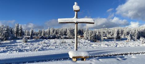 Cold Cross 