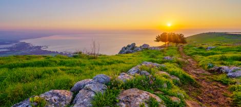Along the Sea of Galilee 