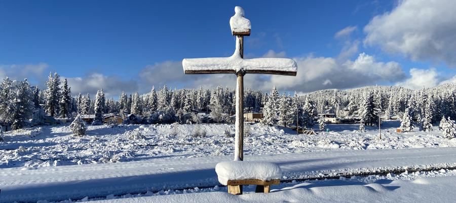 Cold Cross 