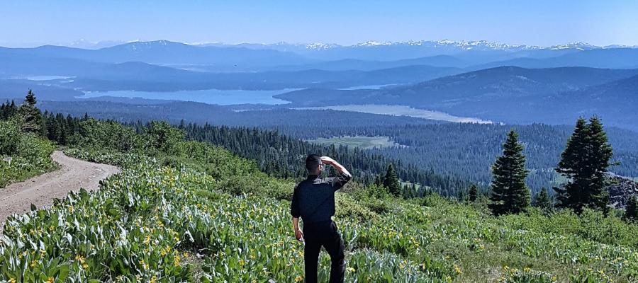 Searching in the mountains 