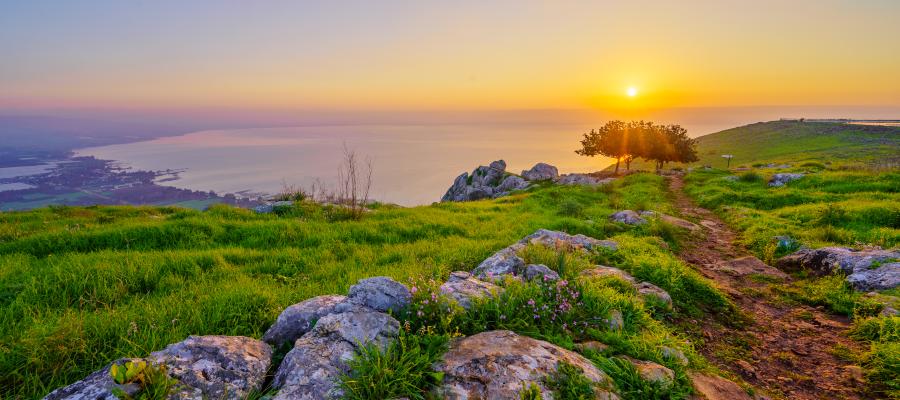 Along the Sea of Galilee