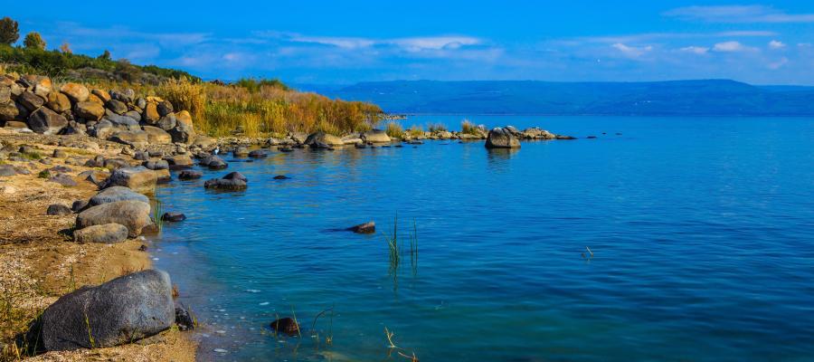 Along the shore of Galilee