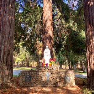 Mary Statue 