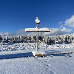 Cold Cross 