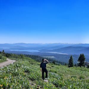 Searching in the mountains 