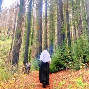 a nun in a forest