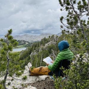 sitting in the woods 