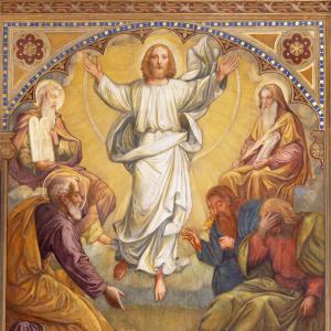 Transfiguration 